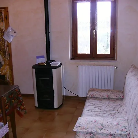 Il Vecchio Cipresso *