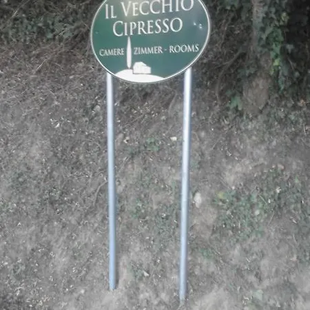 Apartment Il Vecchio Cipresso