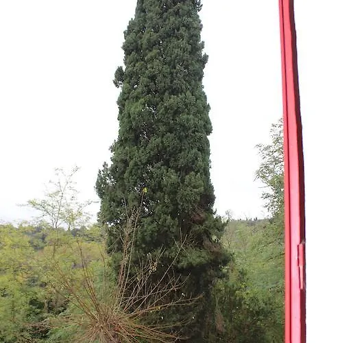 شقة Il Vecchio Cipresso