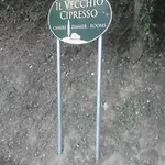アパート Il Vecchio Cipresso
